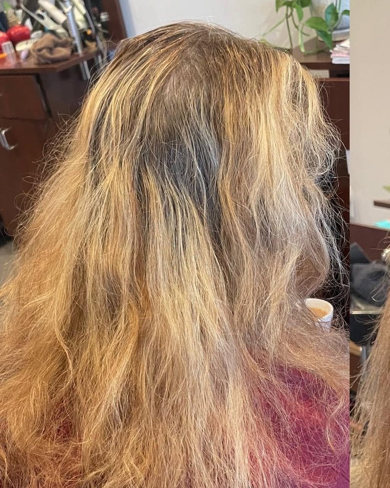 Before a blonde refresh at Hair Xpressions